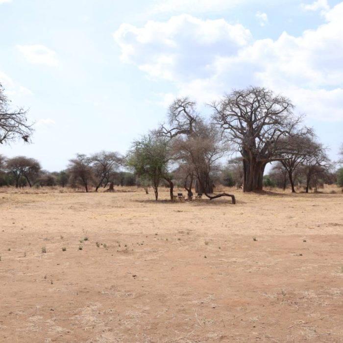 before lala tarangire2