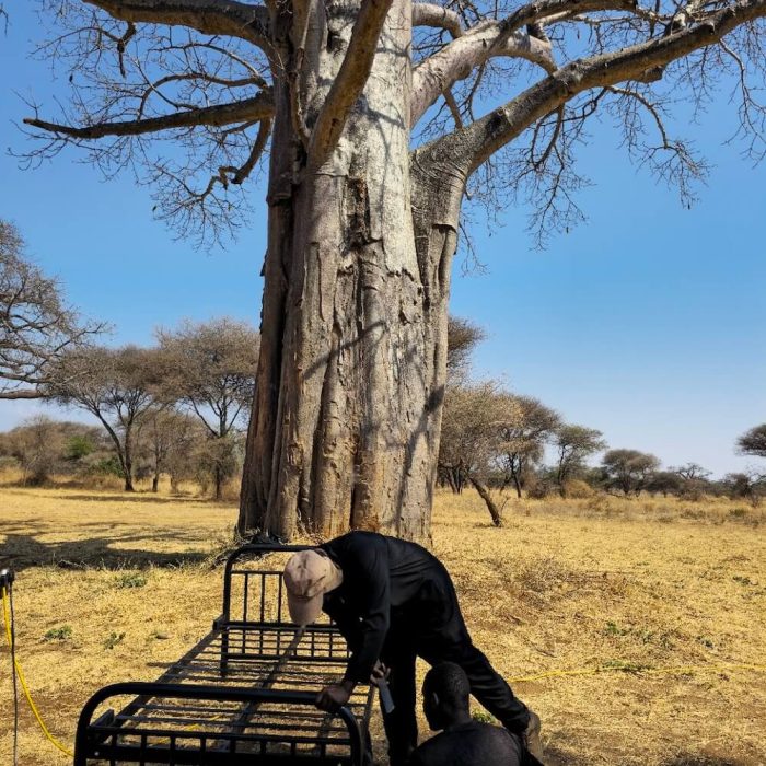 before lala tarangire4