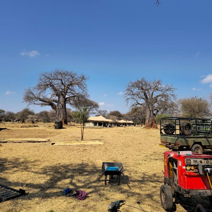 before lala tarangire5
