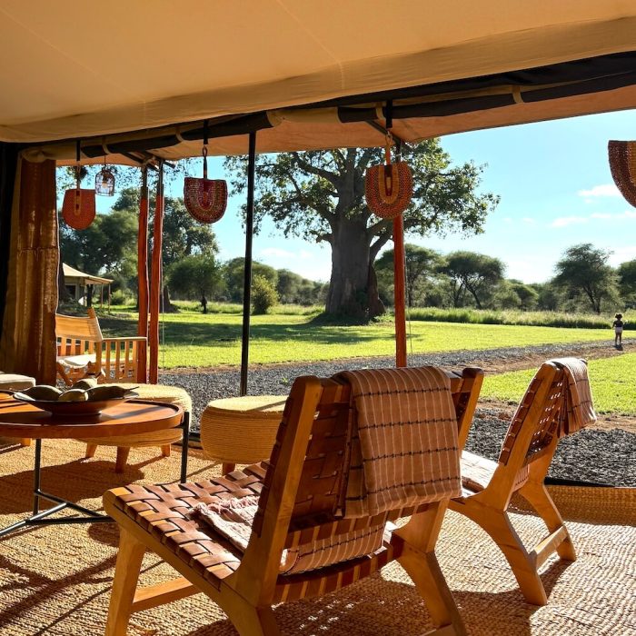 lala tarangire camp19